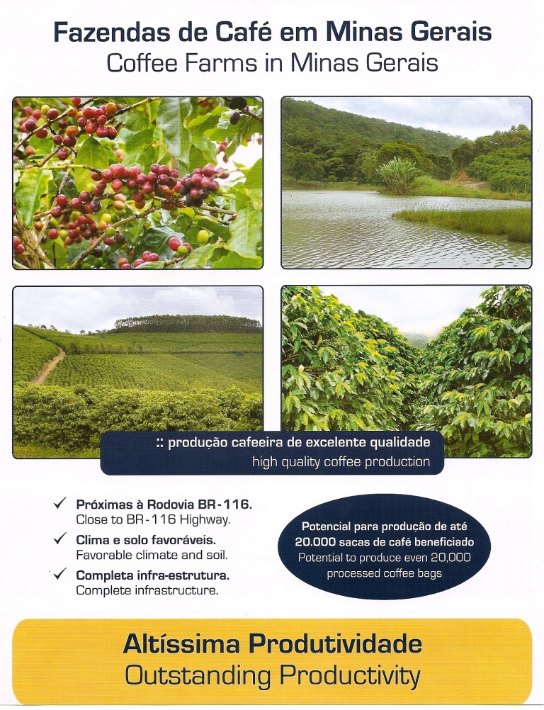 Fazenda de café em Minas Gerais - Novo Cruzeiro - MG