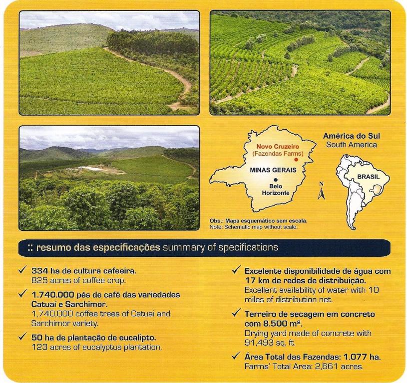 Fazenda de café em Minas Gerais - Novo Cruzeiro - MG