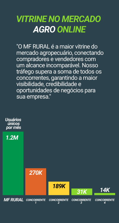 Informativo MF Rural