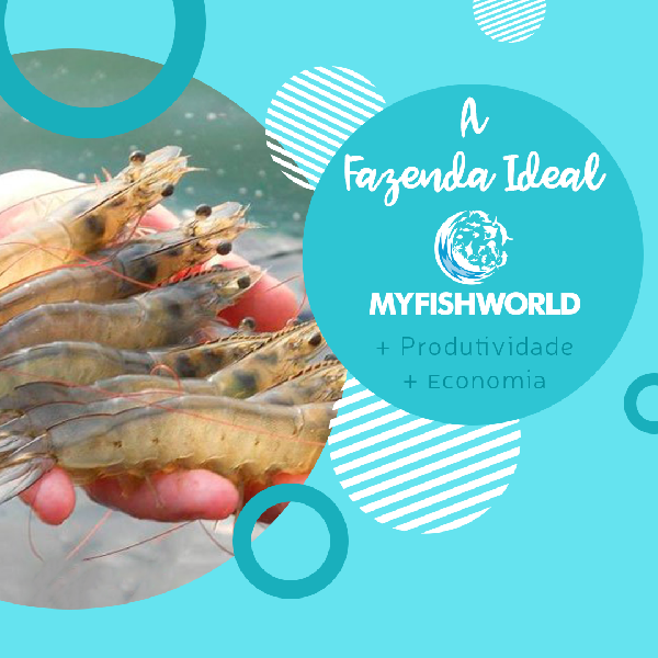 A Fazenda Ideal MyFishWorld ( 1ª TEMPORADA )