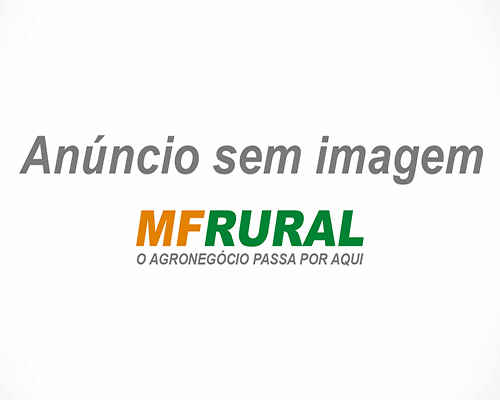 Vendo Fábrica Completa de Carvão Para Narguilé em Cascavel